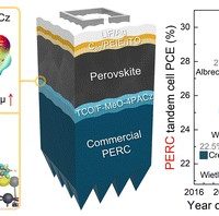 Tailored self-assembled monolayer molecules for perovskite/PERC tandem solar cells with efficiencies over 30%