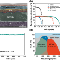 Electrochemically Deposited CZTSSe Thin Films for Monolithic Perovskite Tandem Solar Cells with Efficiencies over 17%s