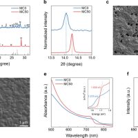 Pure-Iodide Wide-Bandgap Perovskite Solar Cells With Enhanced Photo/Thermal Stability